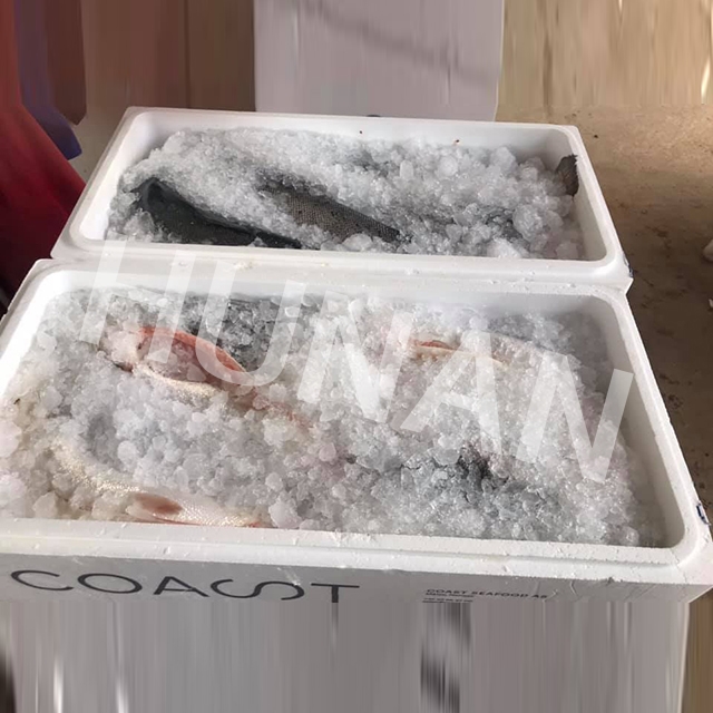 Aquatic freeze